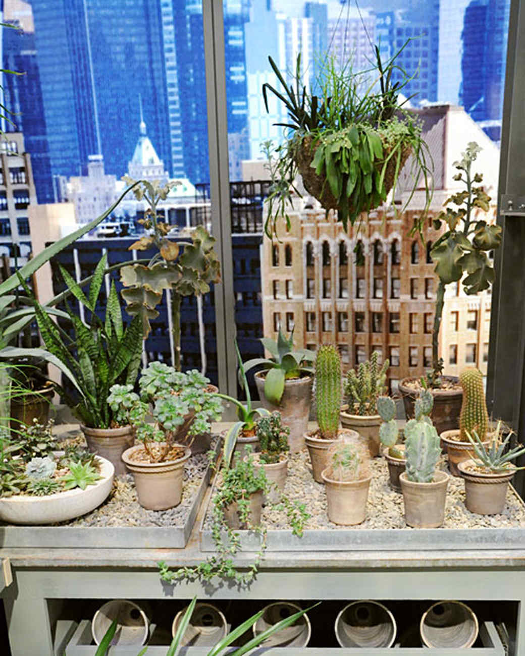 Martha Greenhouse Martha Greenhouse new foto Martha Greenhouse Martha Greenhouse new pictures